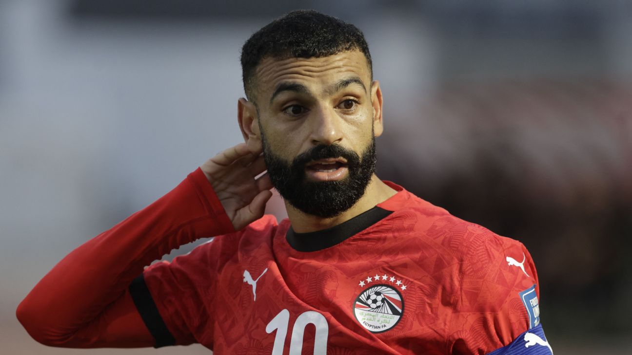 FIFA要求埃及世界杯球衣去掉七颗星，EFA证实已提前调整