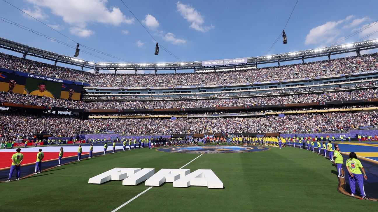 FIFA出售2026世界杯决赛草皮 每块450美元